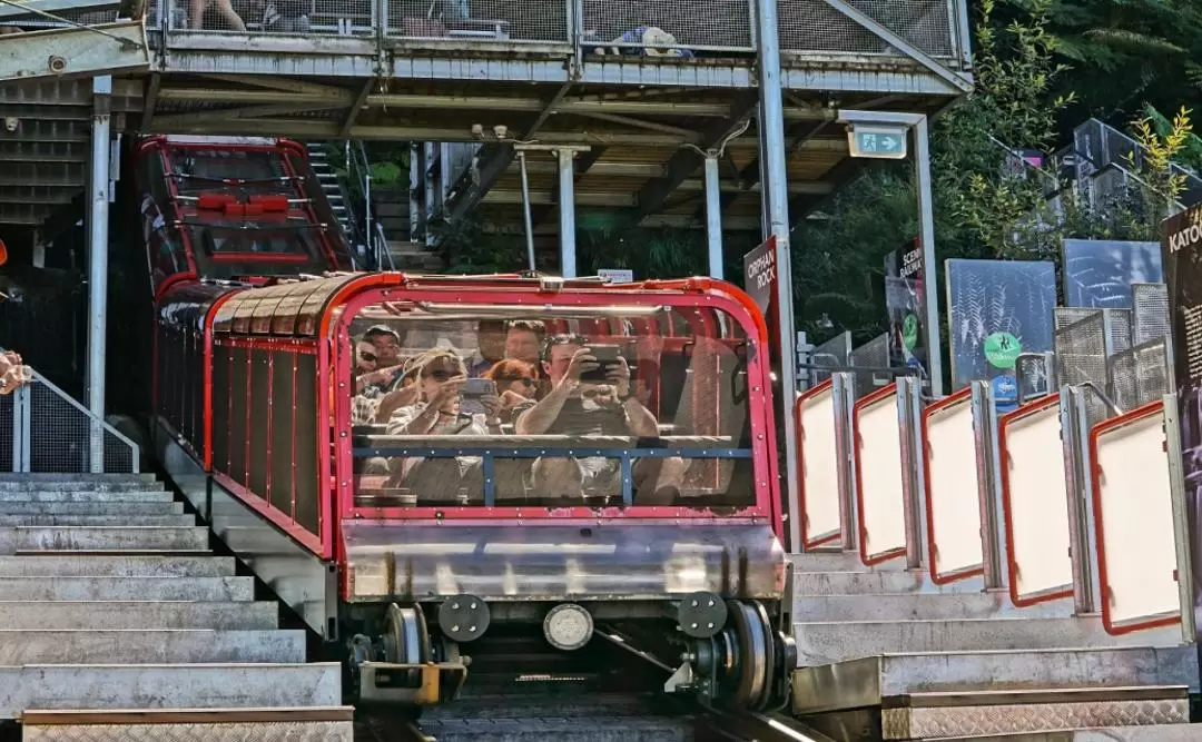 ブルーマウンテンズ・シドニー動物園 日帰りツアー