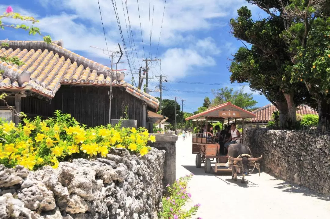 沖繩竹富島半日遊（石垣島出發）