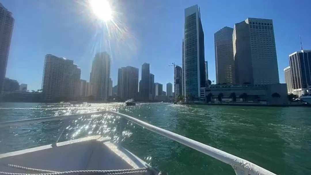 Miami Skyline: Happy Hour Sightseeing Cruise & Millionaire Homes 