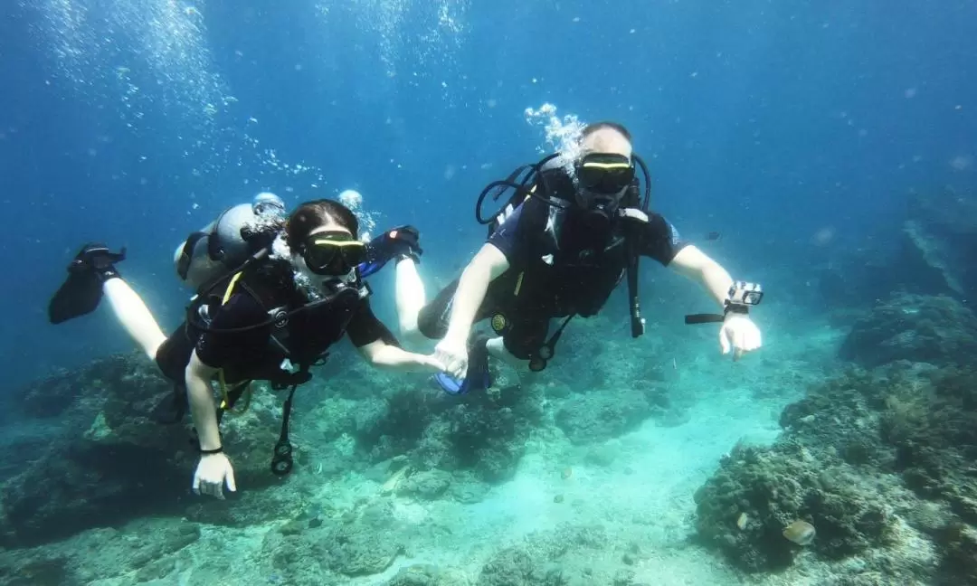 발리 펀 다이빙 (자격증 필요 / Bali Diving)