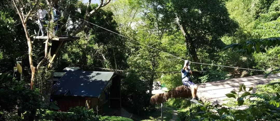 Hualien: Zipline Experience at Wild Monkey Adventure Jungle 