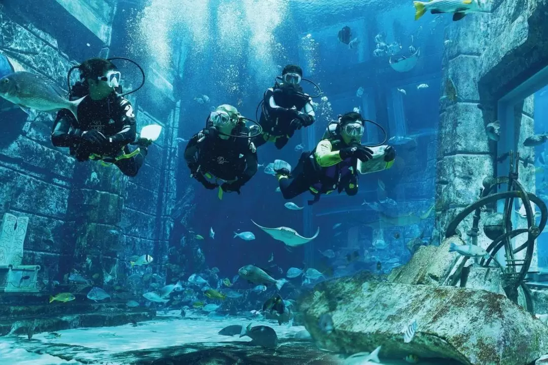 迪拜亞特蘭蒂斯失落的空間水族館水肺潛水體驗