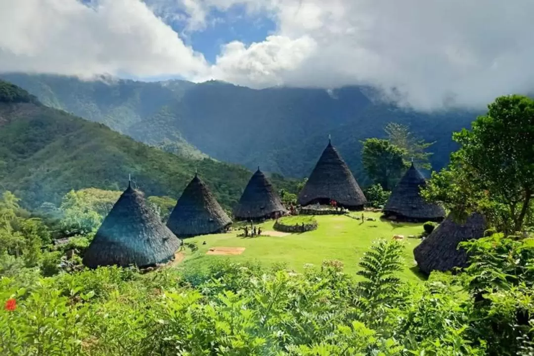 2天1夜 Exotic Waerebo Village鄉村探索之旅（拉布安巴佐出發）