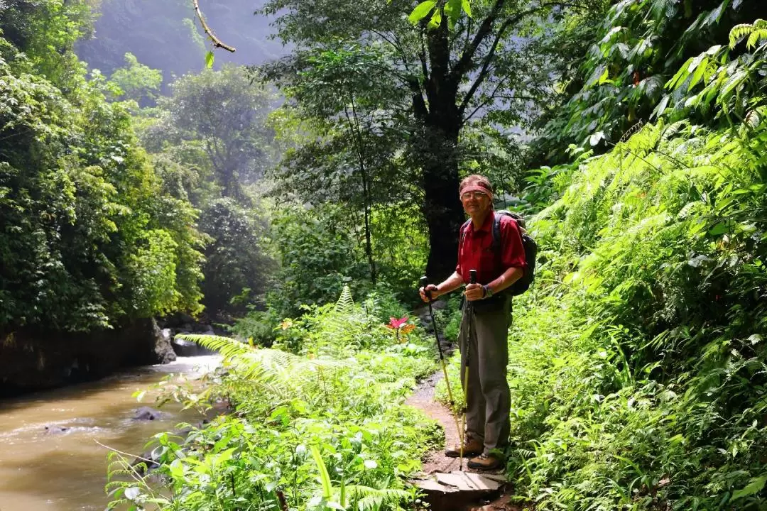 Sekumpul Waterfall Private Day Tour