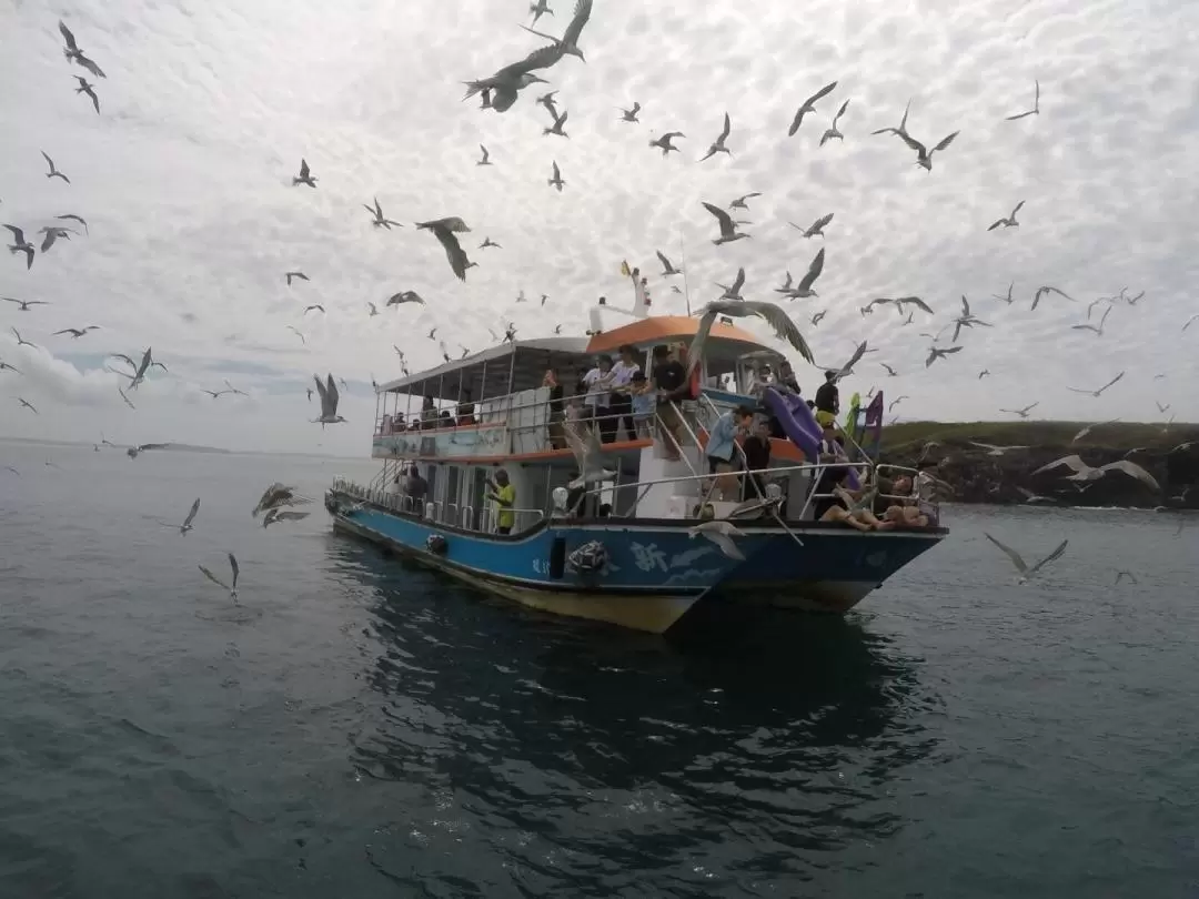 澎湖跳島: 東海跳島一日遊 - 珊瑚礁釣魚浮潛＆餵海鷗＆海上獨木舟