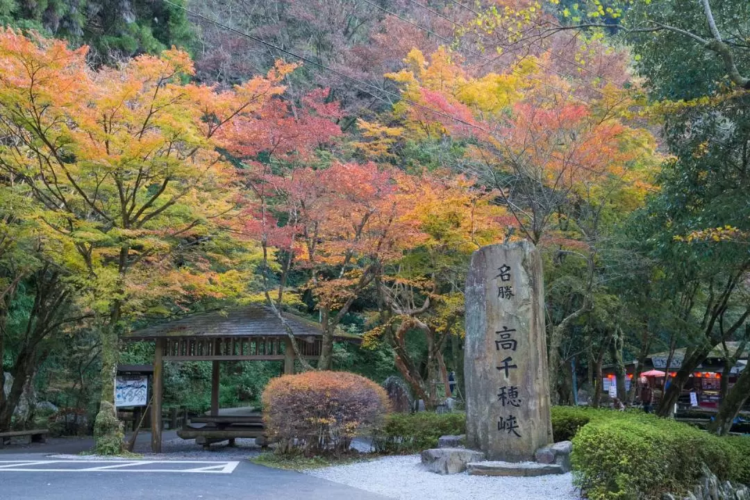 宮崎一日遊（包日式牛肉午餐 / 福岡出發）