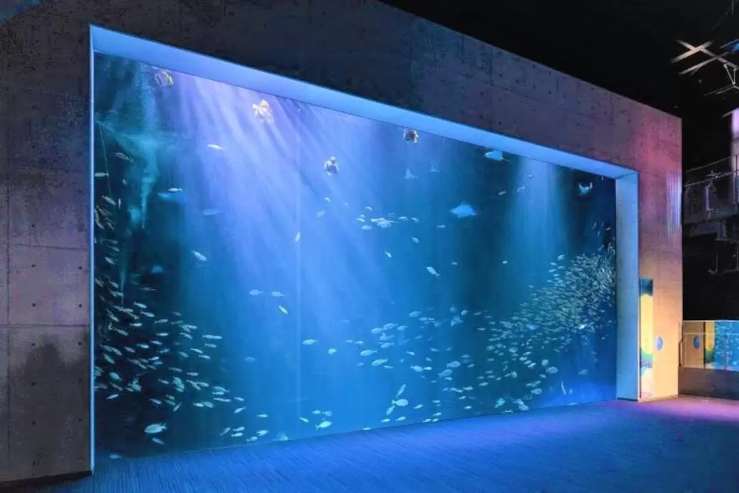 父母濱海岸＆四國水族館一日遊（大阪出發）