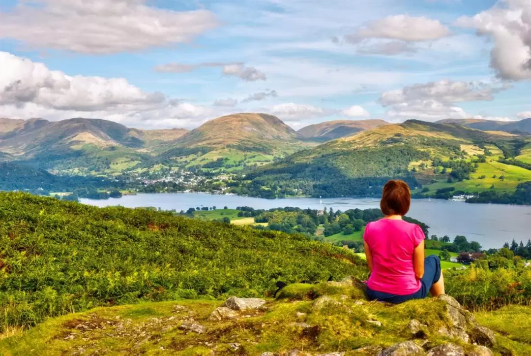 Lake District Day Tour from London with Afternoon Tea and Cruise