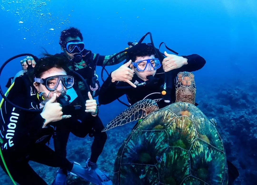 Pingtung: Discover Diving Experience in Lambai Island by Liuqiu Dive