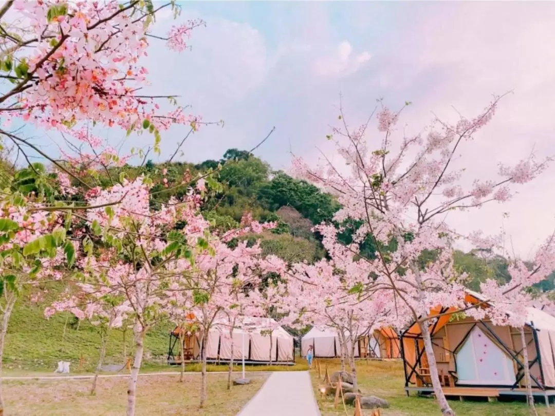 Toyama Mochizuki Hot Spring Camping Area in Kaohsiung