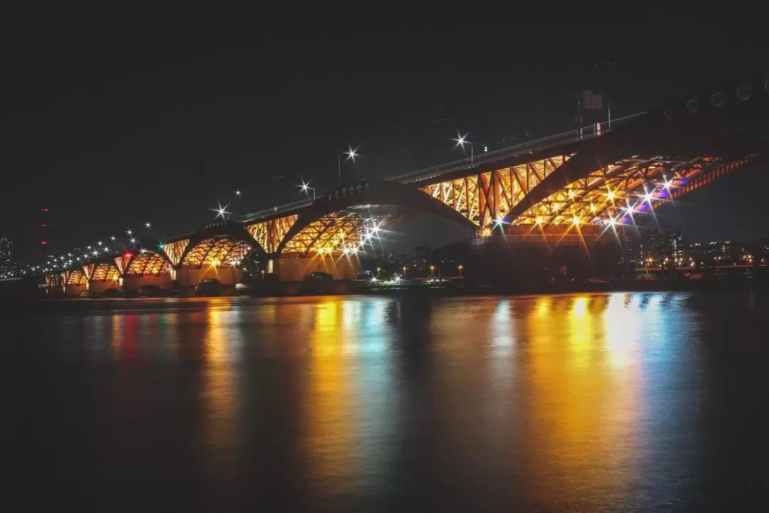 Seoul Han River Guided Night Cruise and Hangang Park Picnic