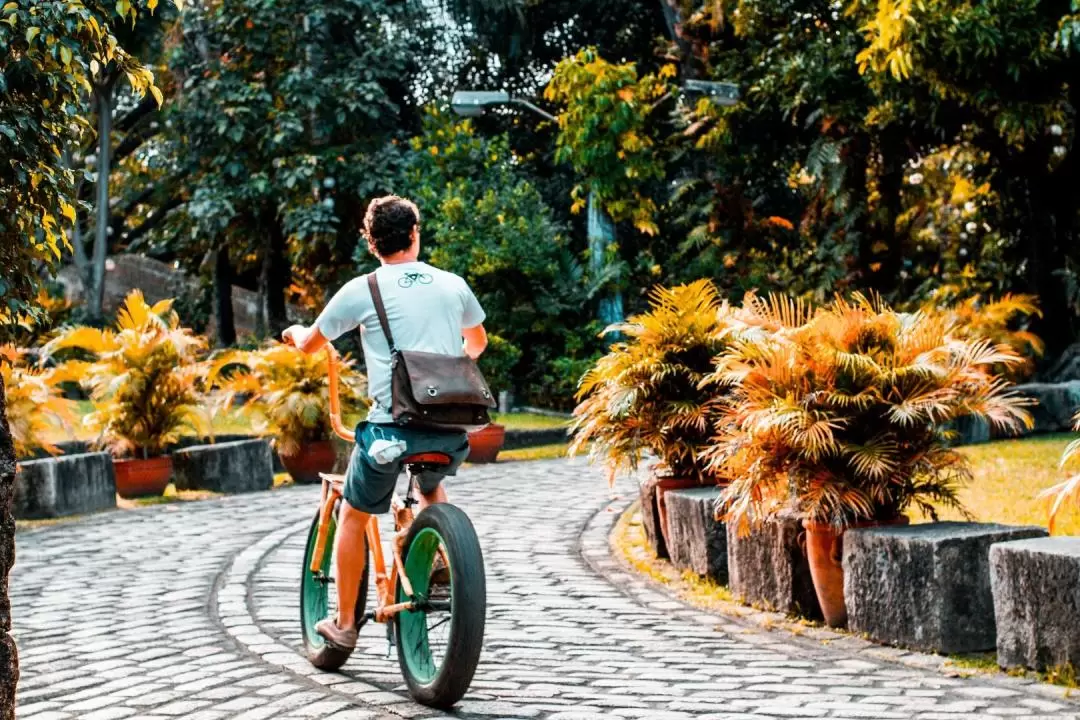 Bamboo Bicycle (Bambike) Rental in Intramuros