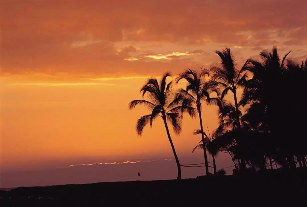 Volcanoes National Park Adventure Tour from Hilo