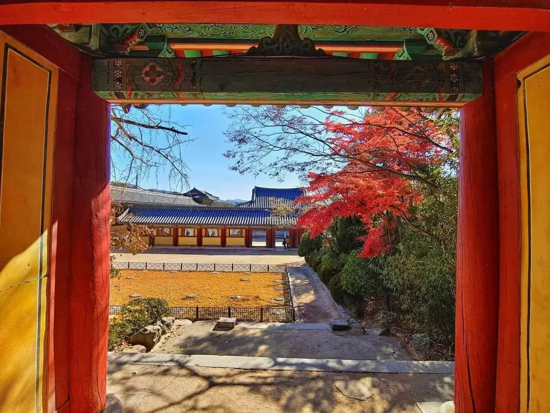 Gyeongju One Day Trip from Seoul & Optional Drop off in Busan