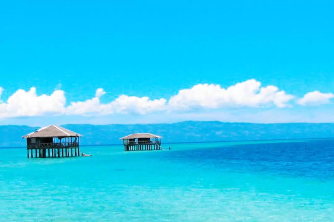 Manjuyod White Sandbar with Dolphin Watching and Sightseeing Join In Tour from Dumaguete