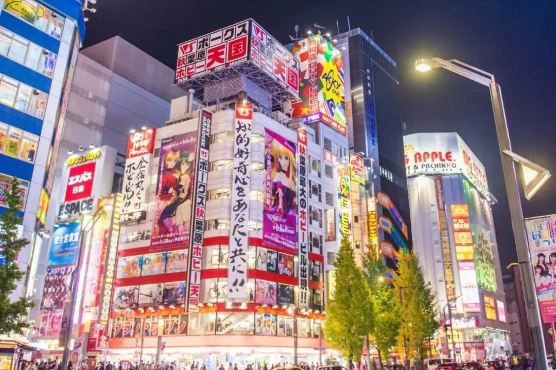 Tokyo City, Subculture Vulture and Discover the World of Otaku