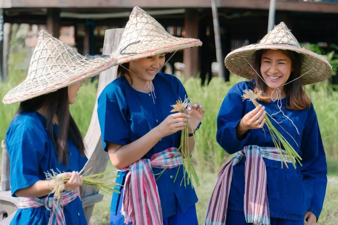 Traditional Rice Planting and Harvesting Experience in Krabi