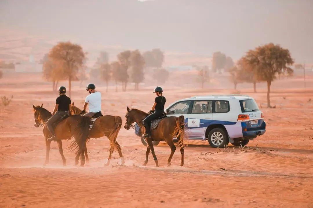 Discover Mleiha Horseback Riding Experience in Sharjah