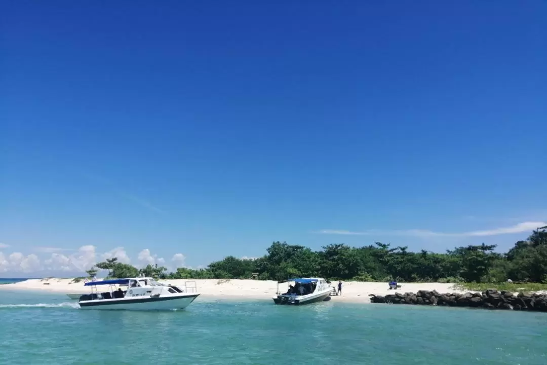 山打根2日1夜西靈岸海龜島觀海龜之旅