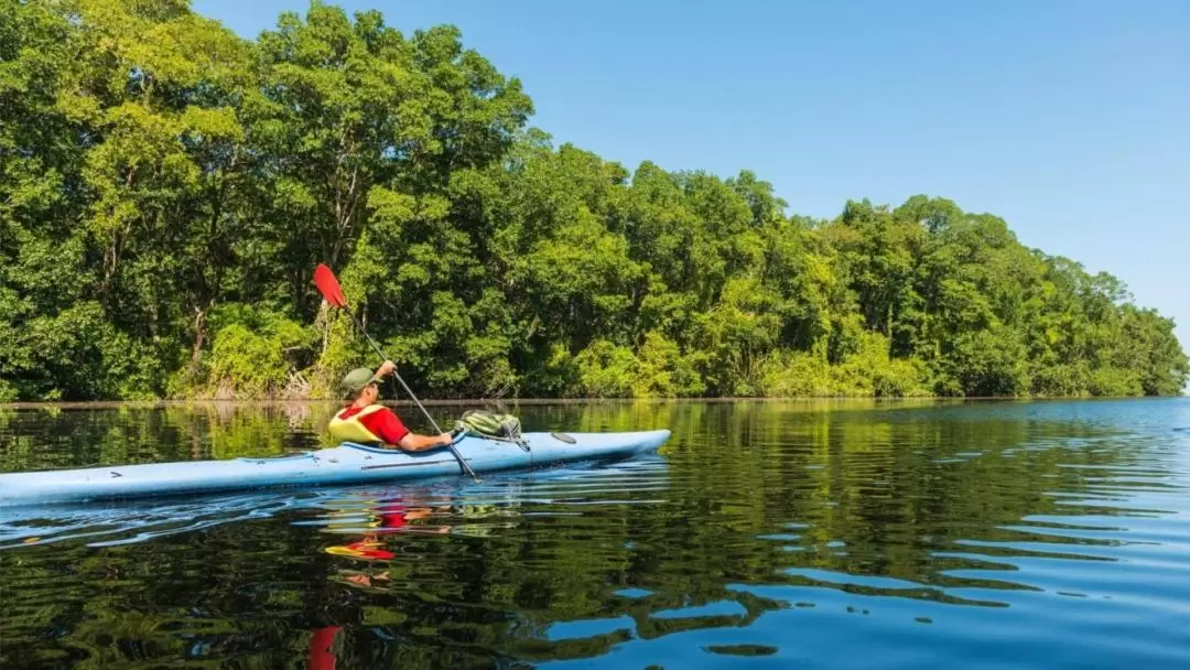 Kayak Rental in Bentota