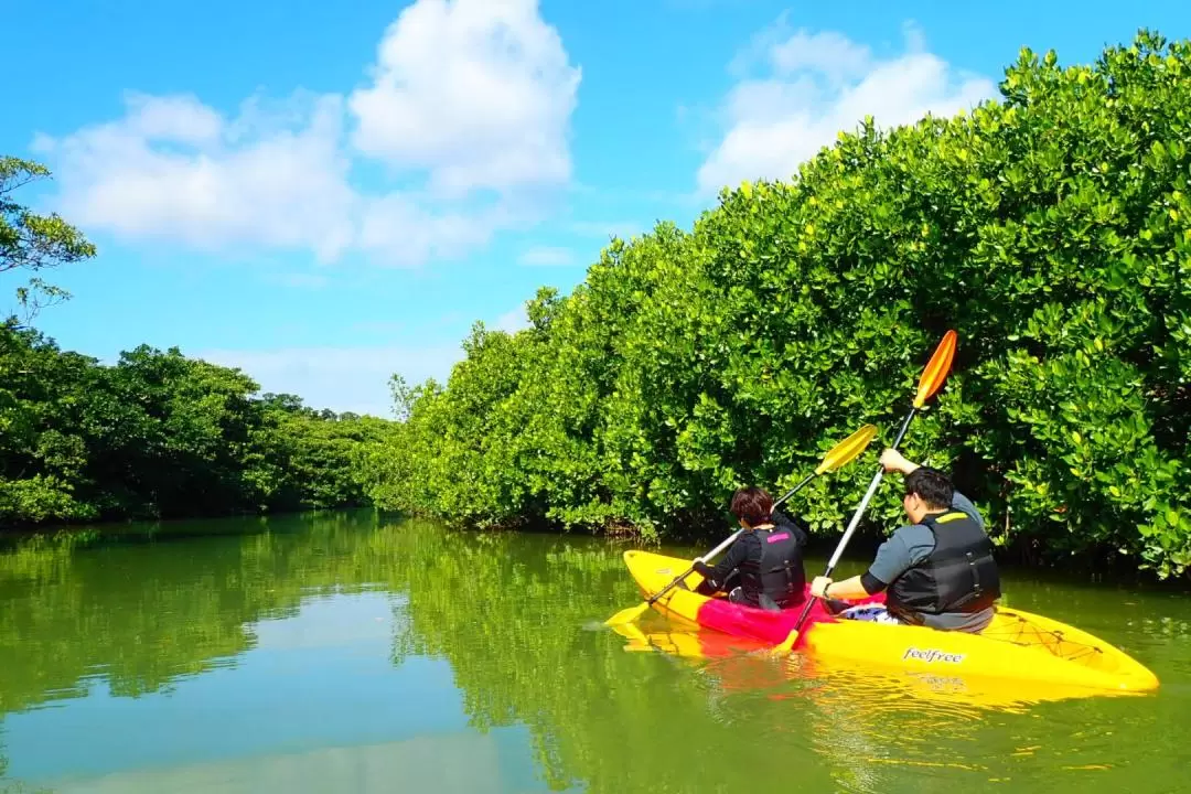 Ishigaki Island Blue-cave Snorkeling and Nature Activities (SUP/Canoe)