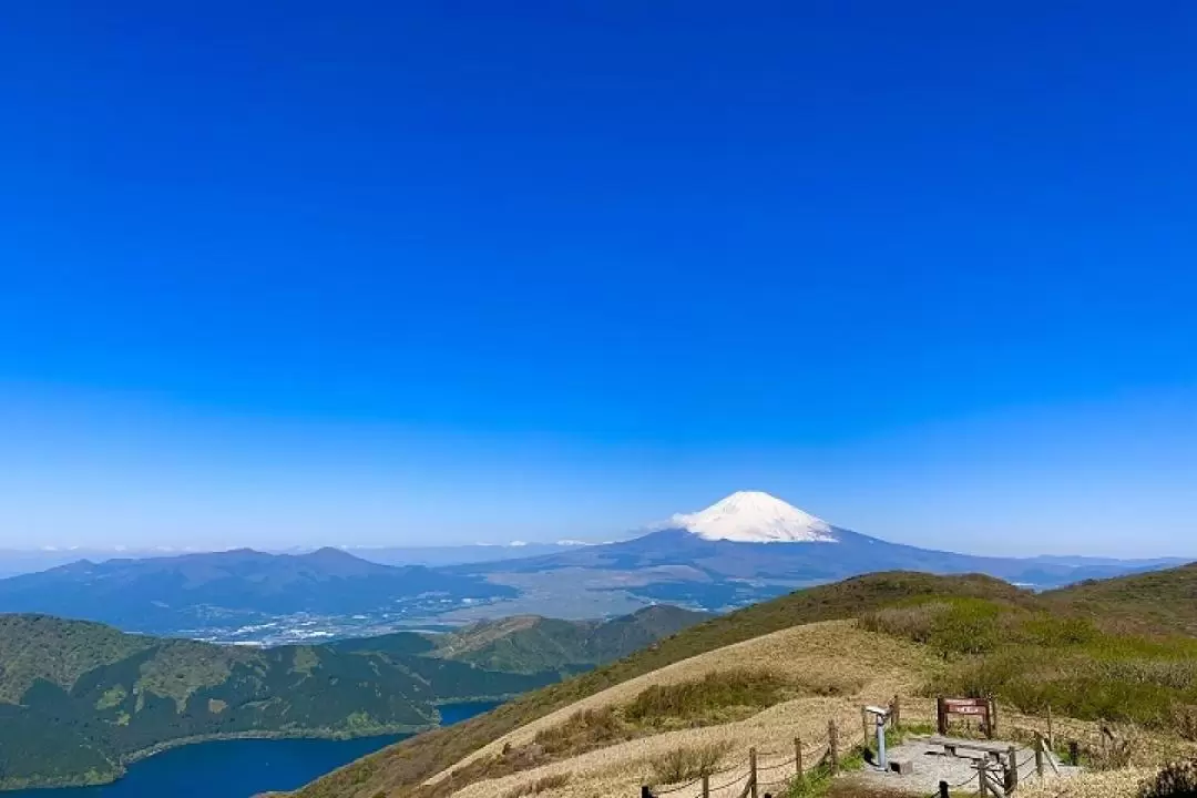 Mt Fuji & Hakone Lake Ashi & Ropeway One Day Tour from Tokyo