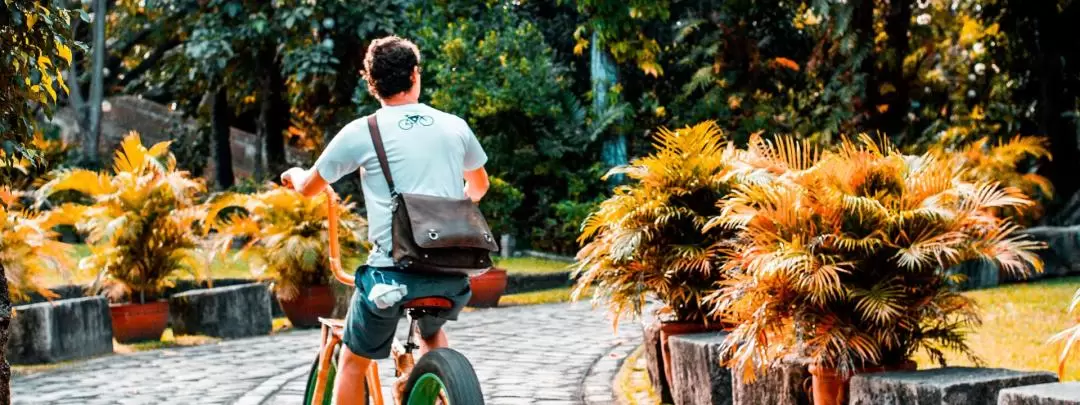 Bamboo Bicycle (Bambike) Rental in Intramuros