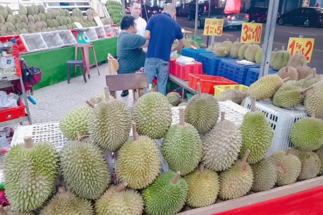 新加坡芽籠徒步導覽