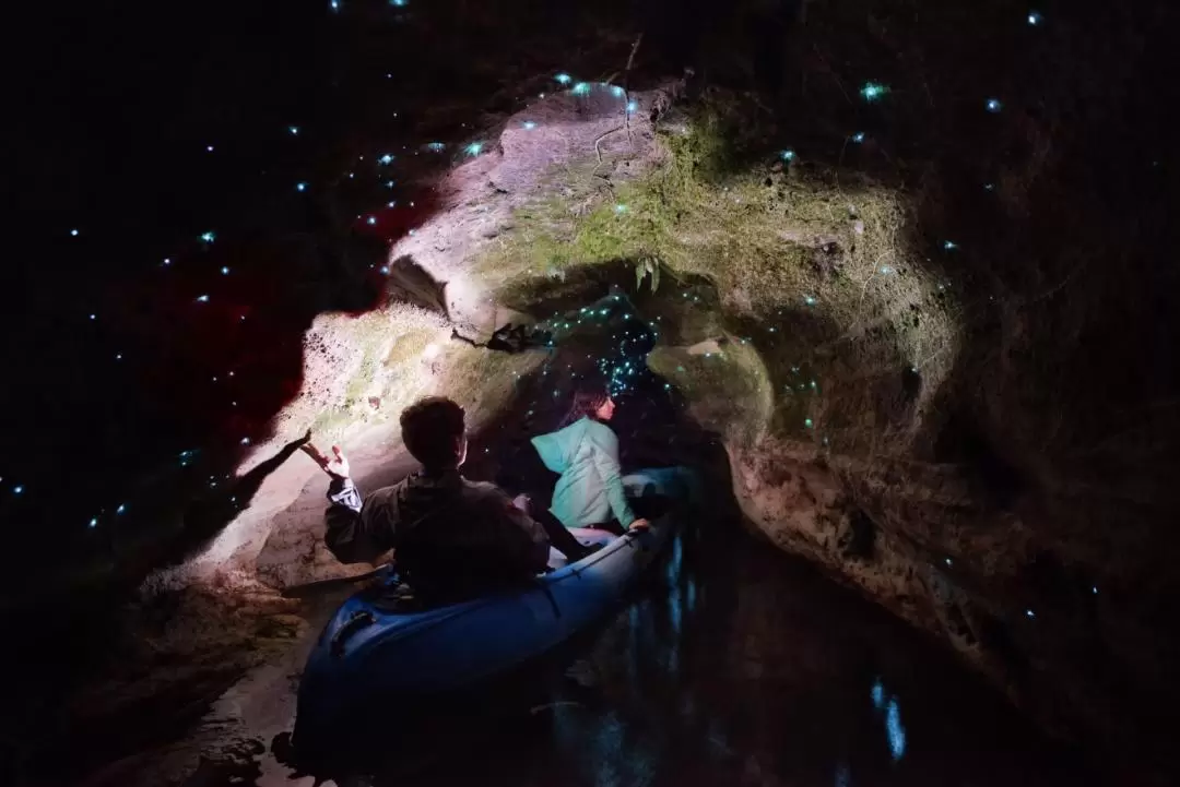 Twilight Paddle Board or Kayak the Glowworm Caves Rotorua