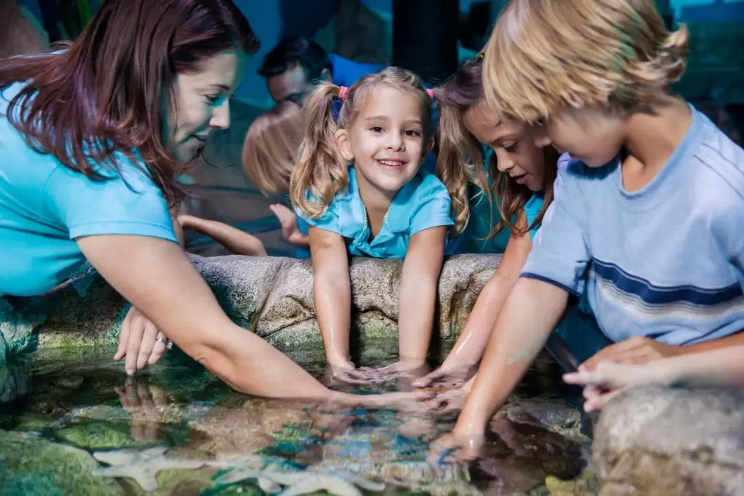 伦敦海洋生物水族馆门票