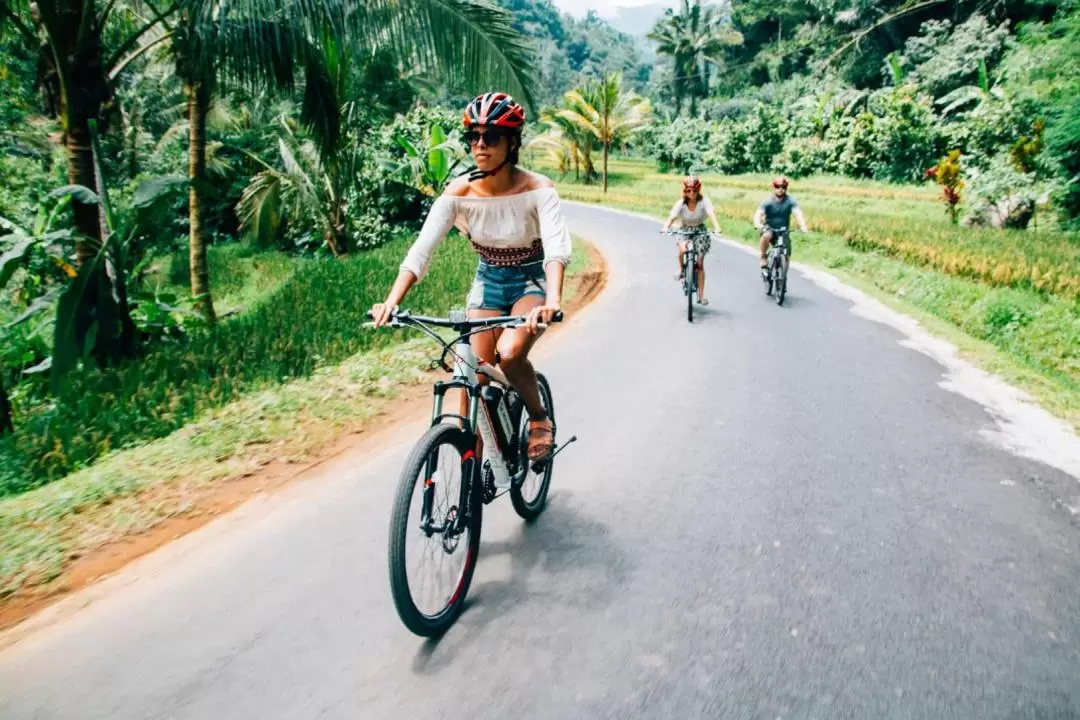 Jatiluwih Rice Terraces Electric Bike Tour in Bali