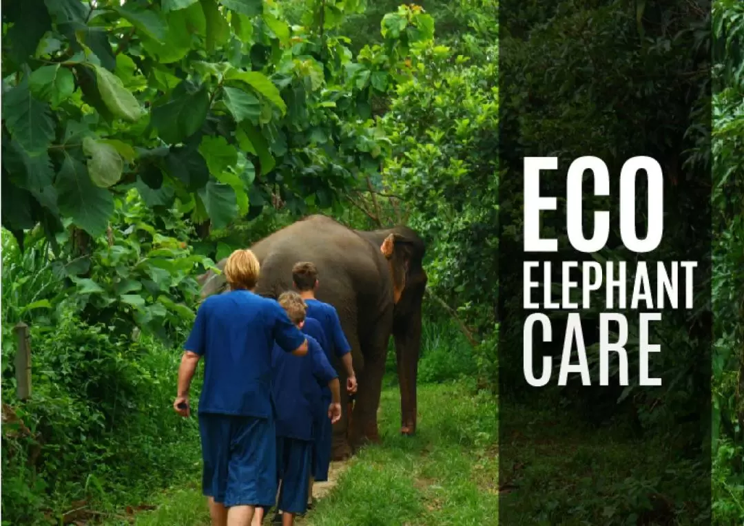 Trek Waterfall, Elephant Sanctuary and Water Rafting in Chiang Mai