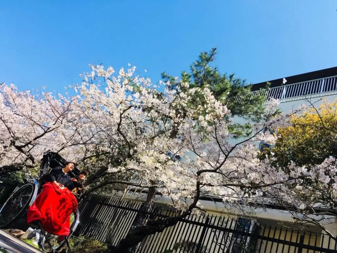 Rickshaw Experience in Kamakura