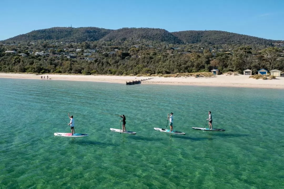 Stand Up Paddle Boarding, Lunch and Hot Spring Experience in Mornington Peninsula