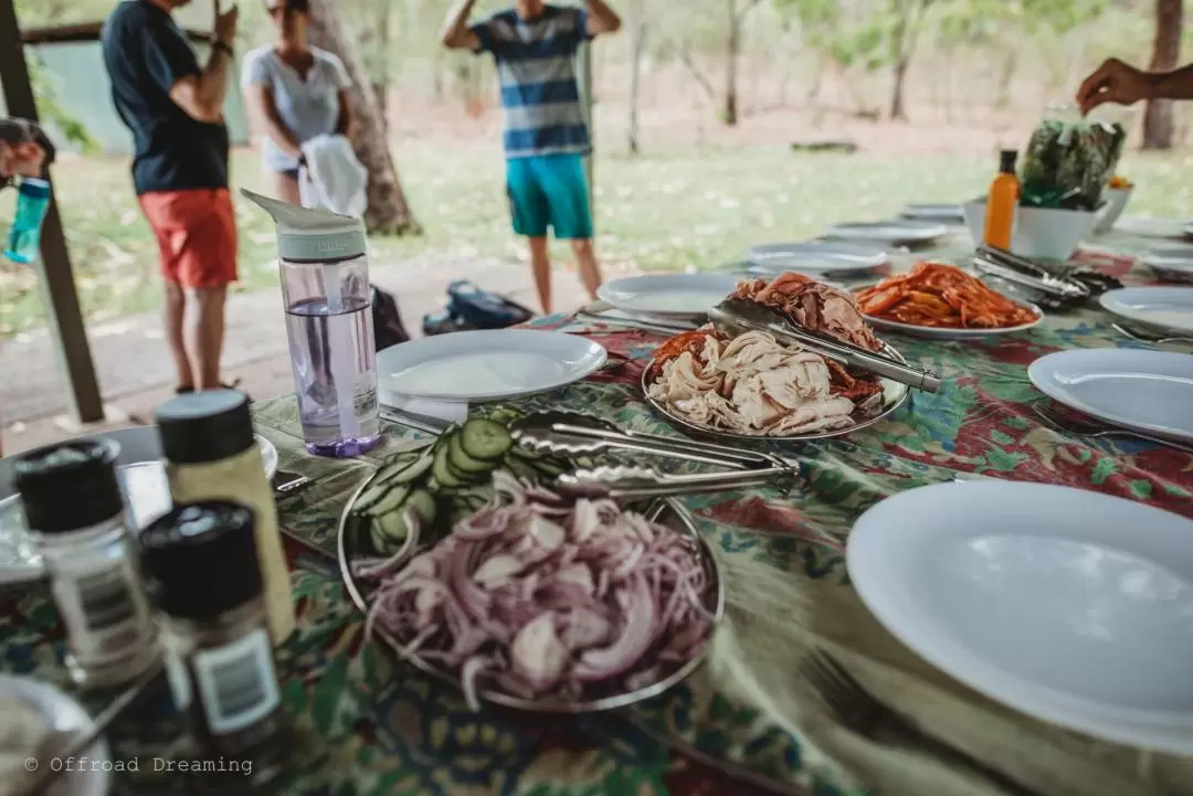 李治菲特國家公園（Litchfield National Park）一日遊