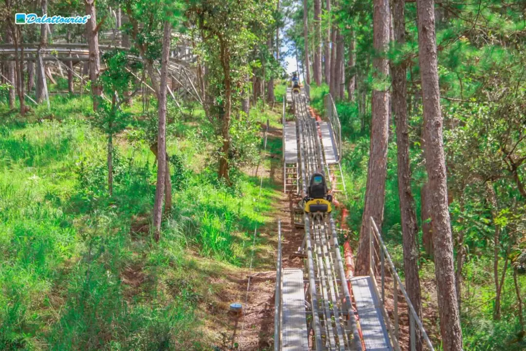 大叻達塔拉高山雲霄飛車體驗