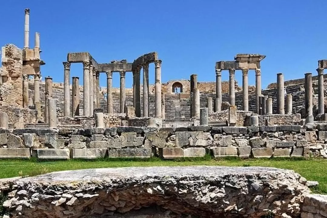 Dougga Half-Day Tour from Tunis