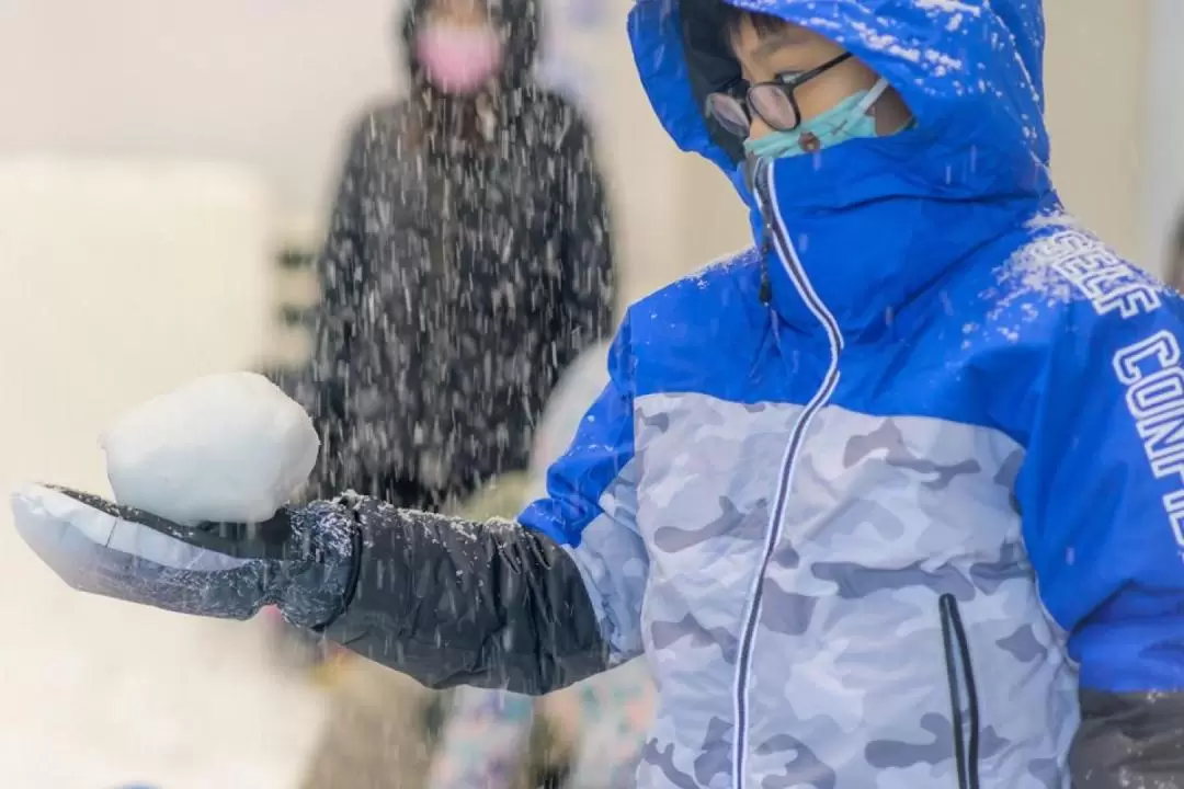 高雄 SKI SCHOOL 飄雪樂園：門票