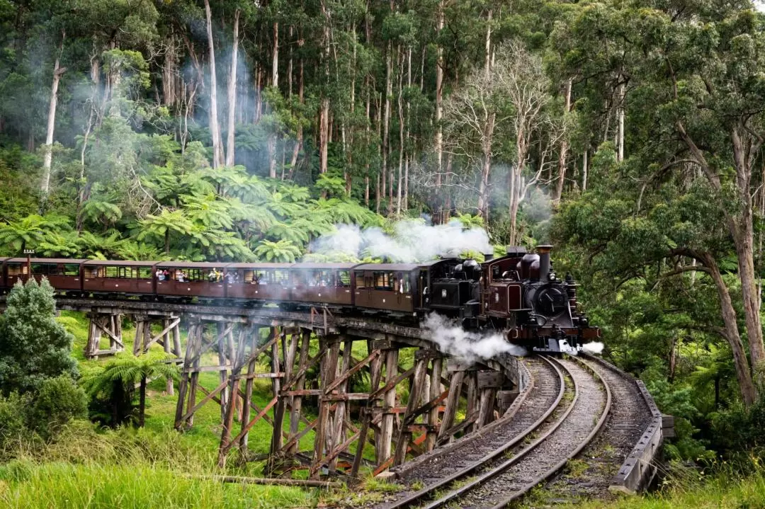 Puffing Billy and Healesville Sanctuary Day Tour from Melbourne 