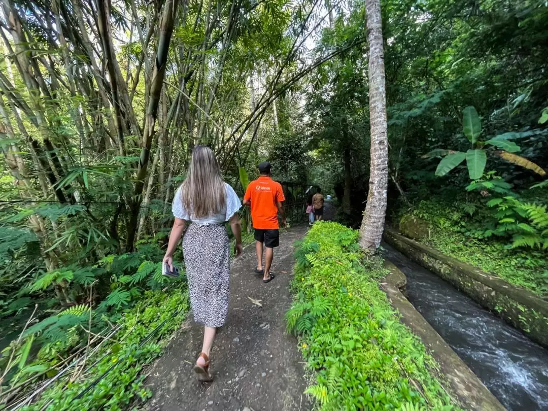 Instagram Tour with Photographer in Bali