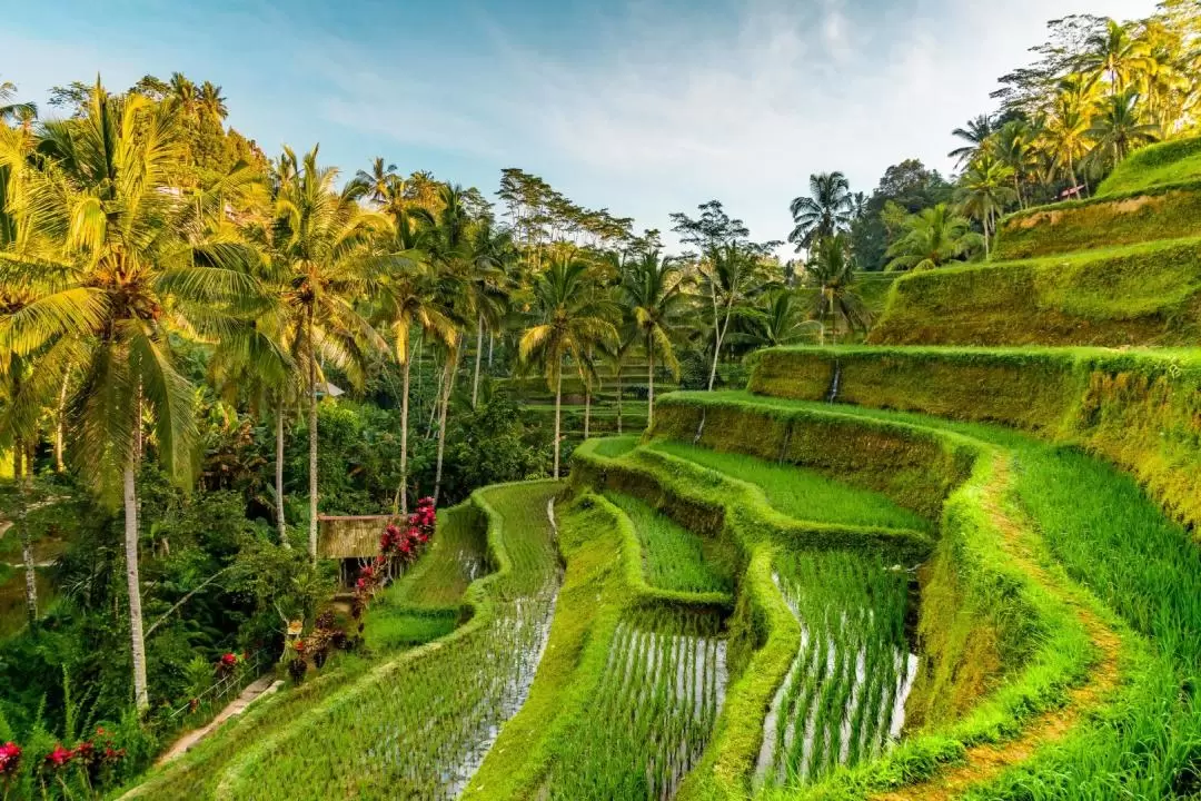 Penglipuran Bali Traditional Tour with Ubud, Natures, and Temple