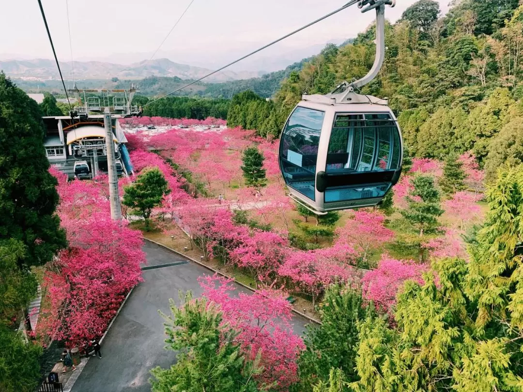 南投九族文化村門票（贈日月潭來回纜車）