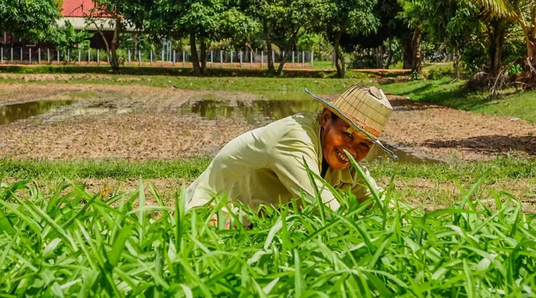 Siem Reap Countryside Half Day Bike Tour