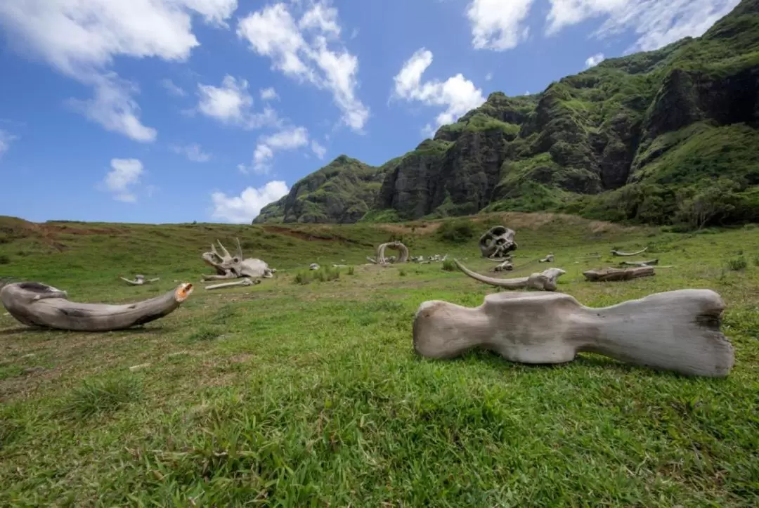 Kualoa Ranch Hollywood Movie Sites Tour