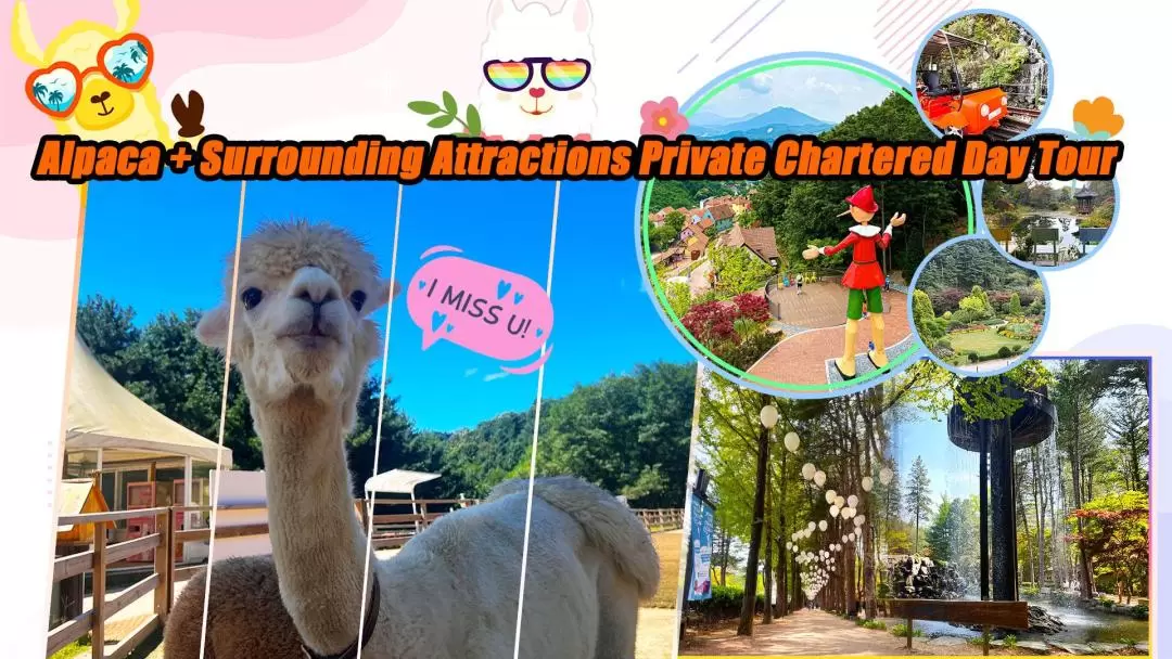 Alpaca World + Nami Island 10-Hour Private Day Tour