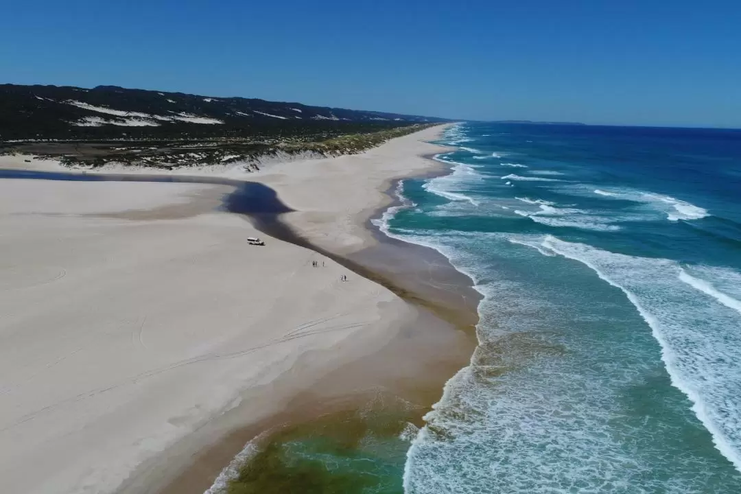 Warren National Park & Great Southern Ocean 4WD Tour in Pemberton