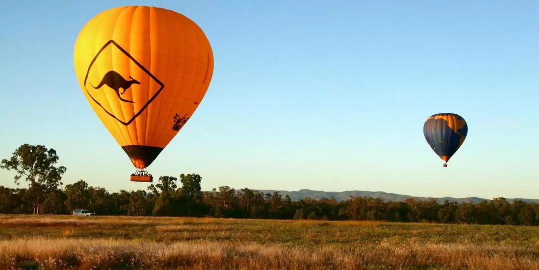 Hot Air Balloon, Meet Alpaca's and Vineyard Breakfast in Brisbane