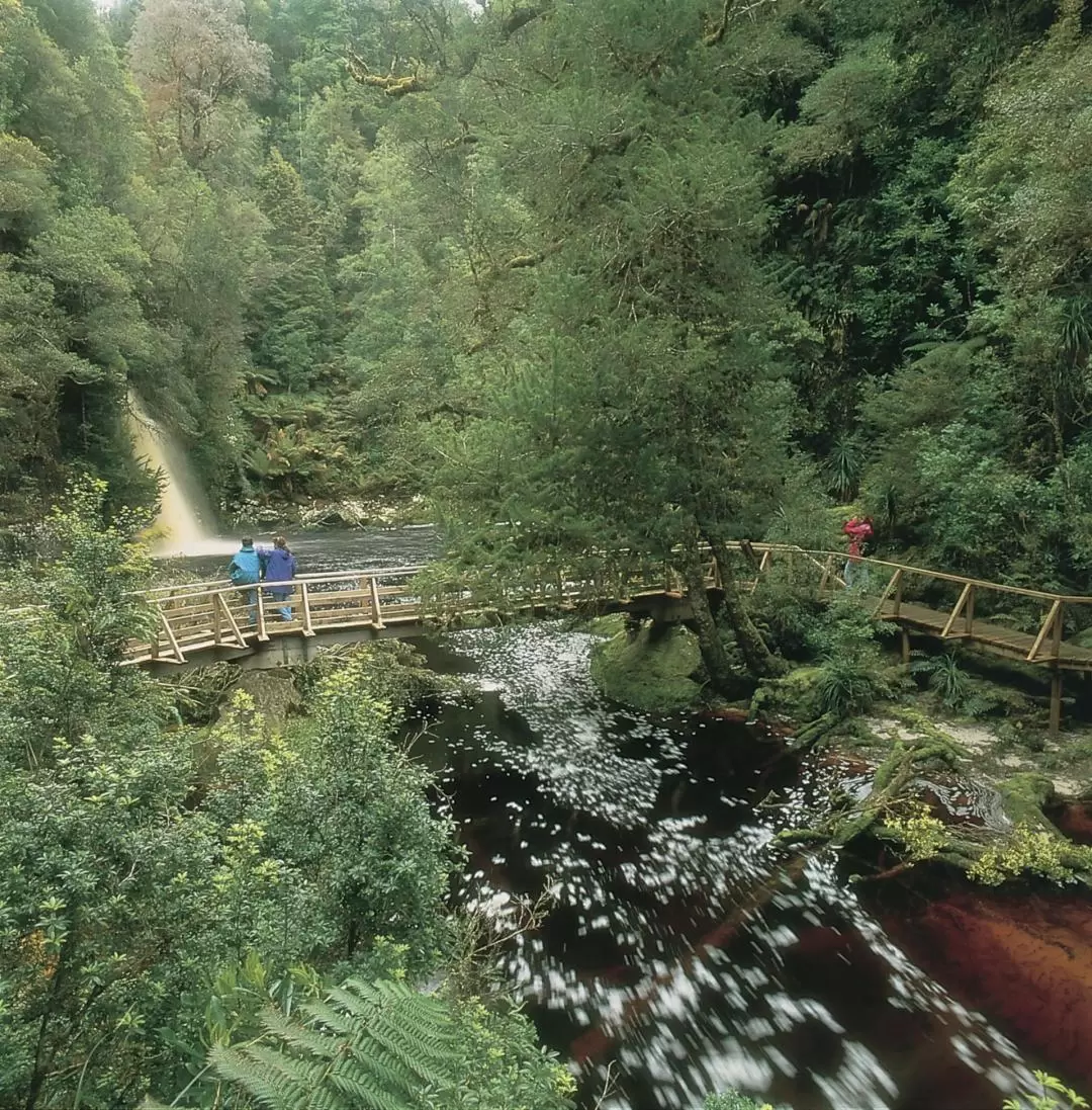 Cradle Mountain Fully Guided Day Tour Departing Launceston