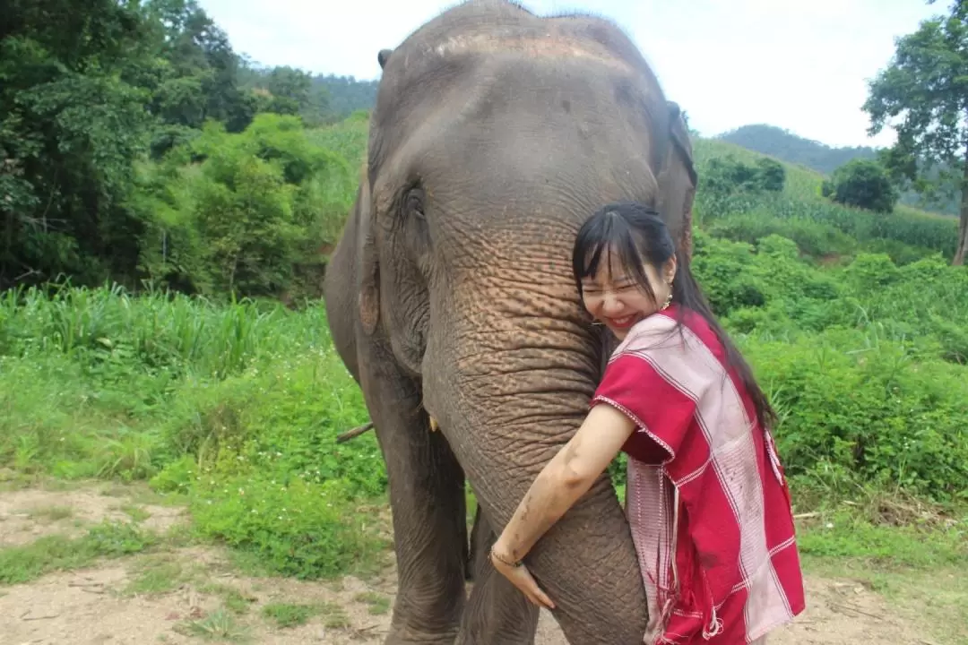 Chiang Mai Kerchor Elephant Eco Park Tour