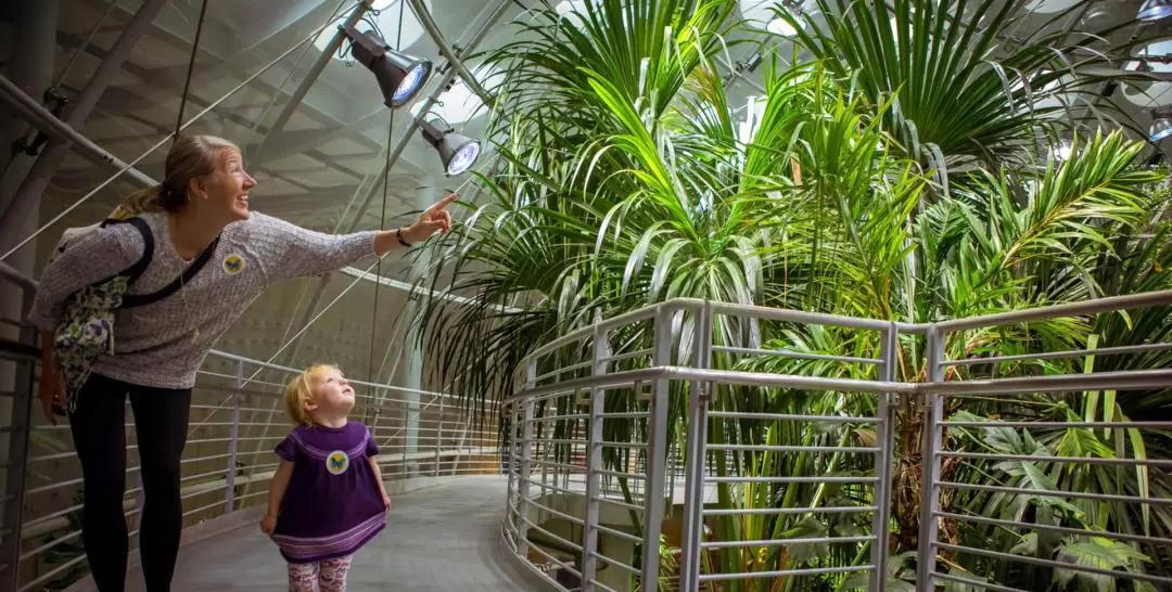 California Academy of Sciences Ticket in San Francisco